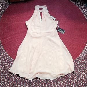 NWT Express Dress
